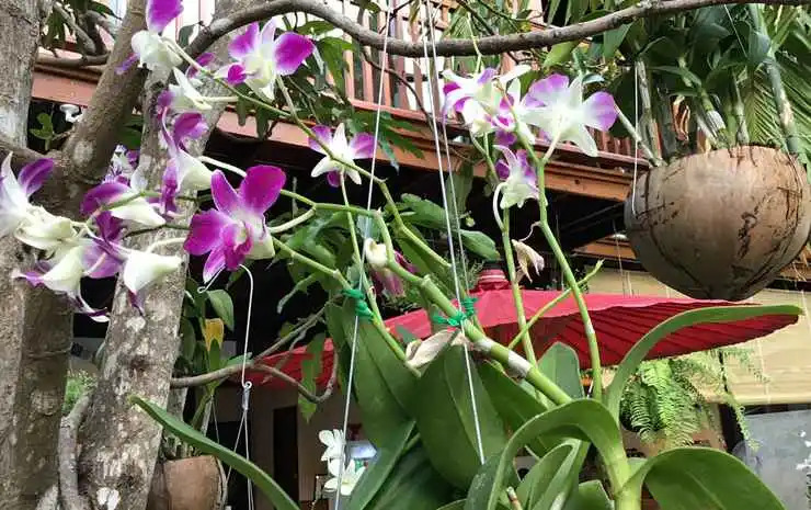 Photo - The Eight Ratvithi House