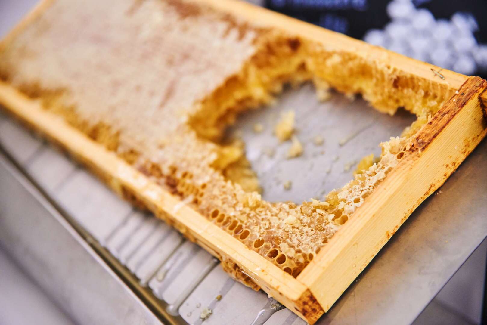 Photo - MAXX by Steigenberger Vienna