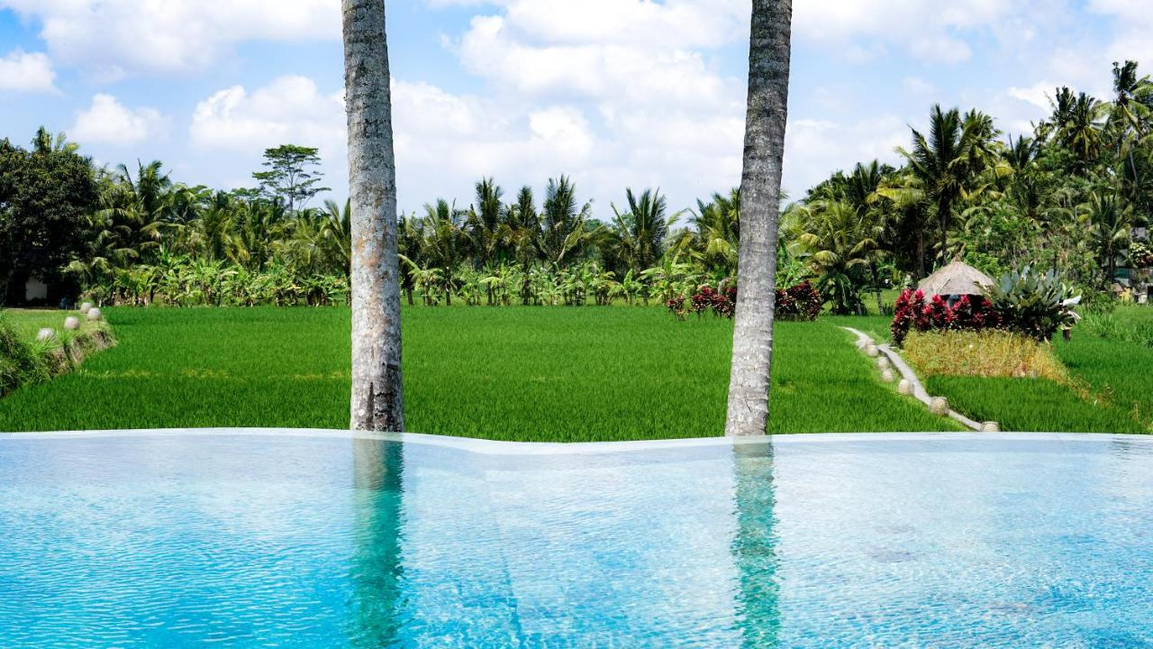 Foto - MATHIS Retreat Ubud