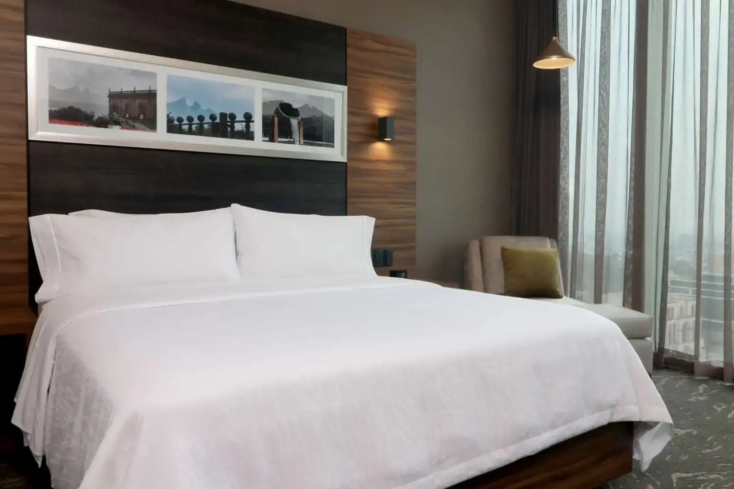 Photo - Hilton Garden Inn Monterrey Obispado
