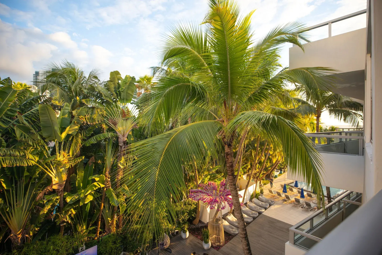 Foto - The Sagamore Hotel South Beach