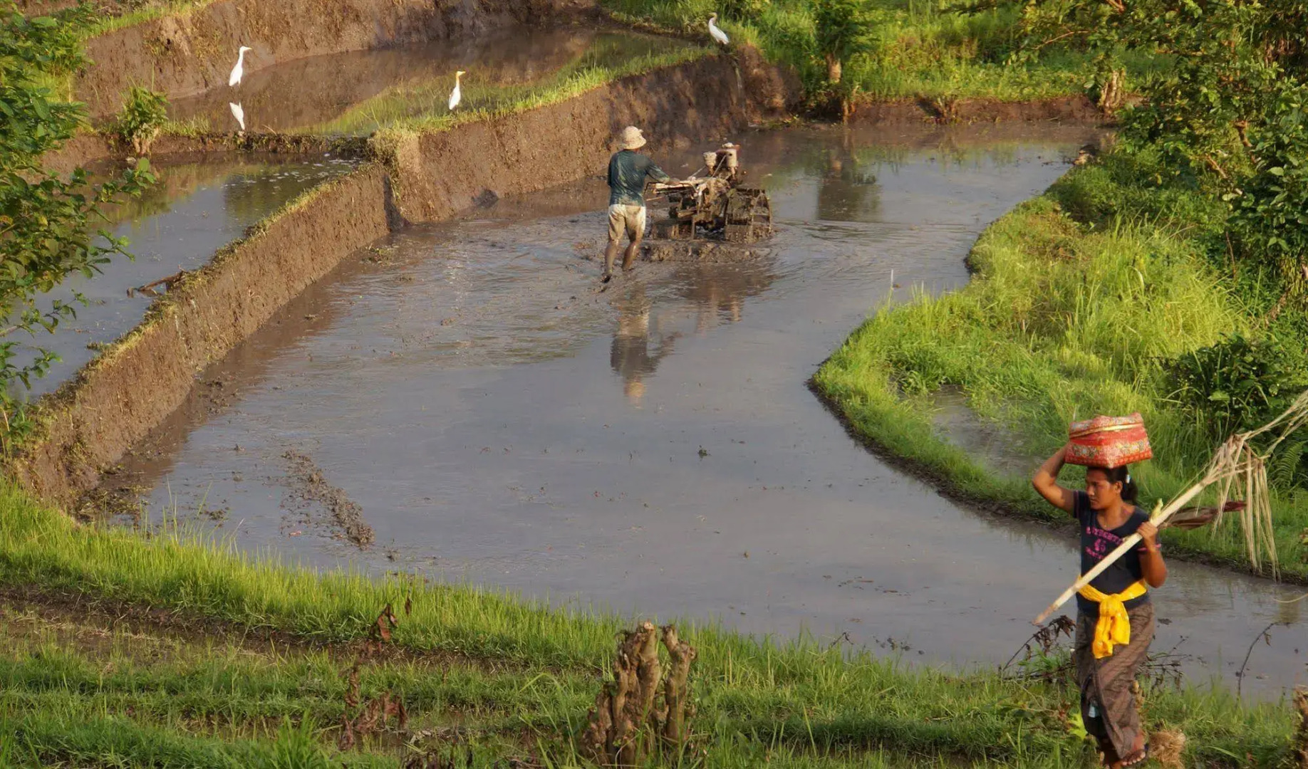 Foto - Samanvaya - Adults Only