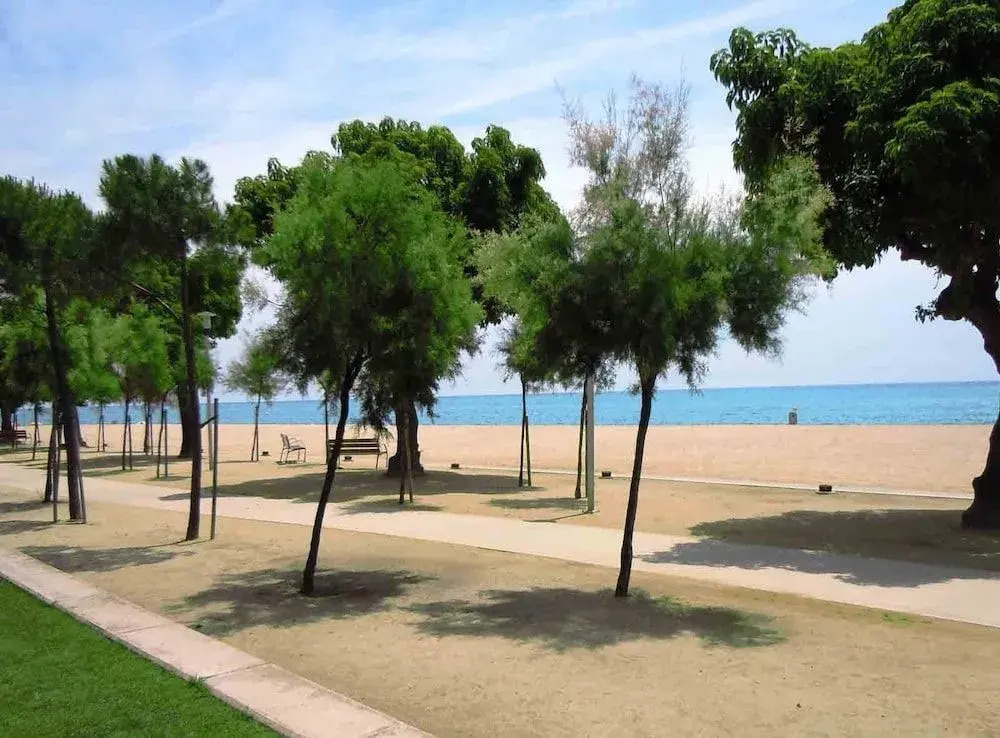 Foto - Camping Bellsol Pets