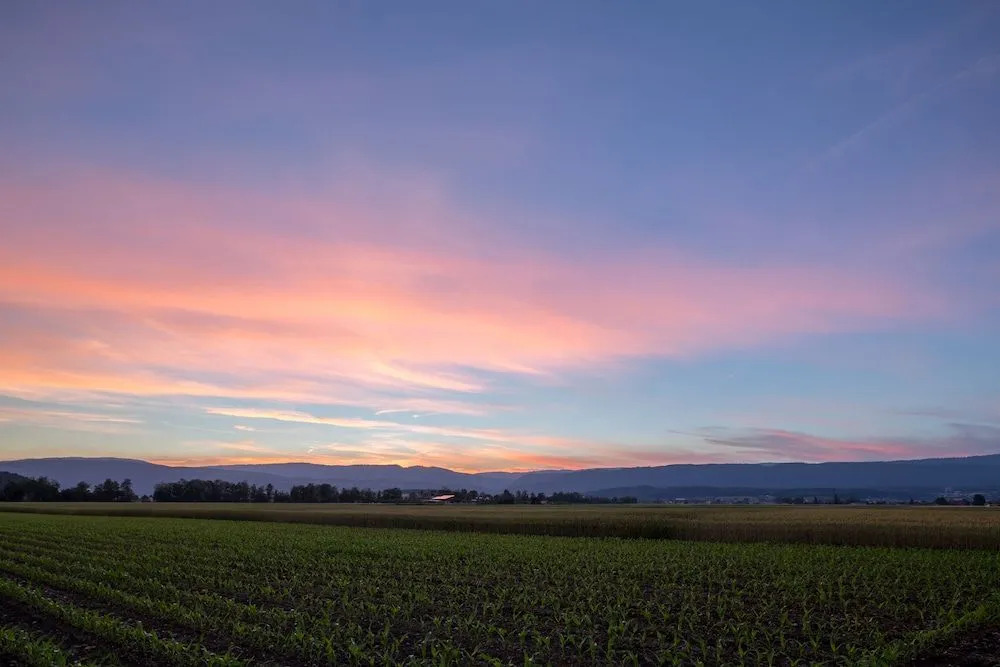 Photo - Hotel Restaurant Florida