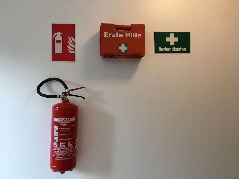 Photo - Sahara Falcon