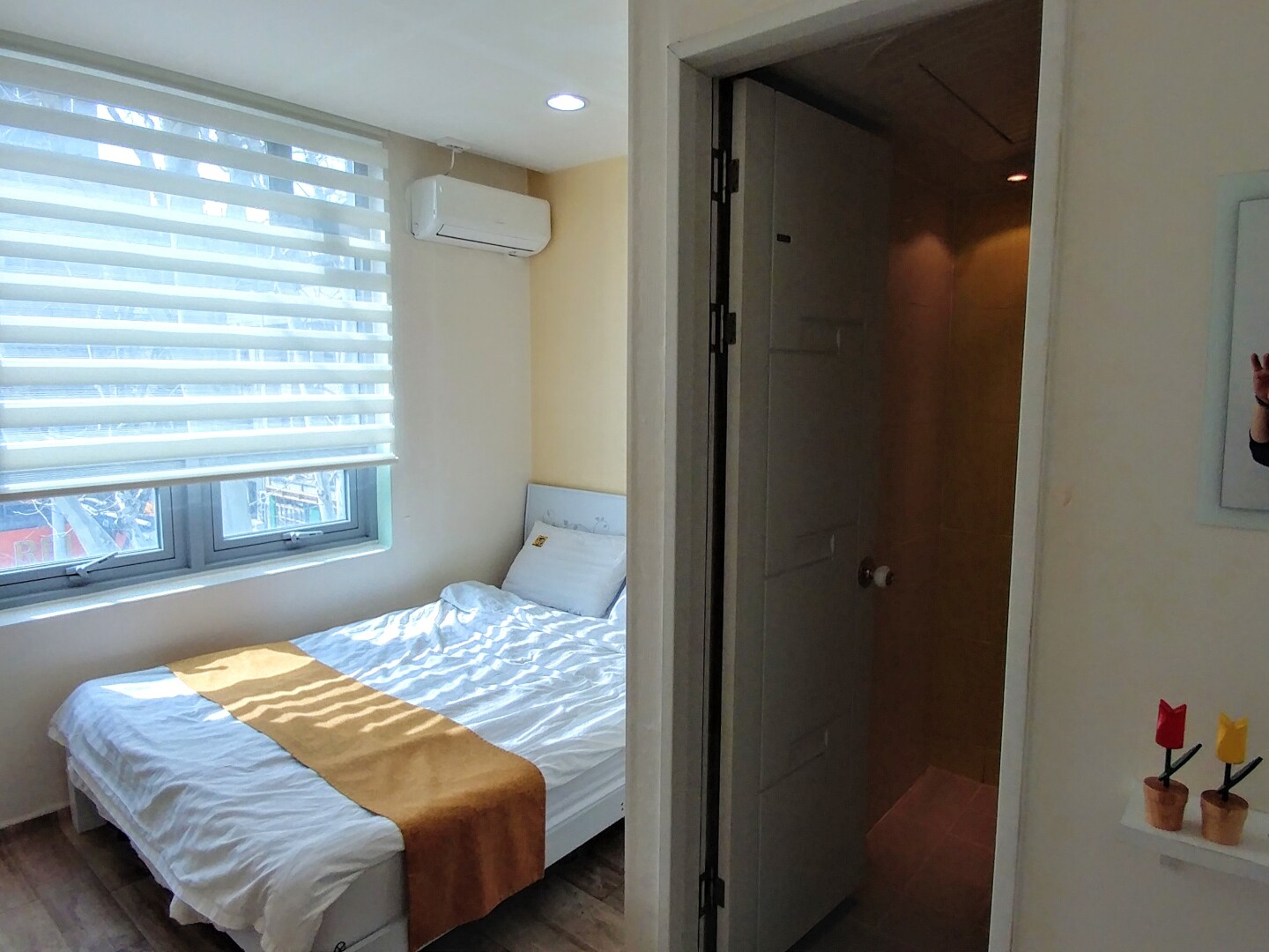 Foto - Hostel Tommy 50 off sale for 10th Anniversary on 2026