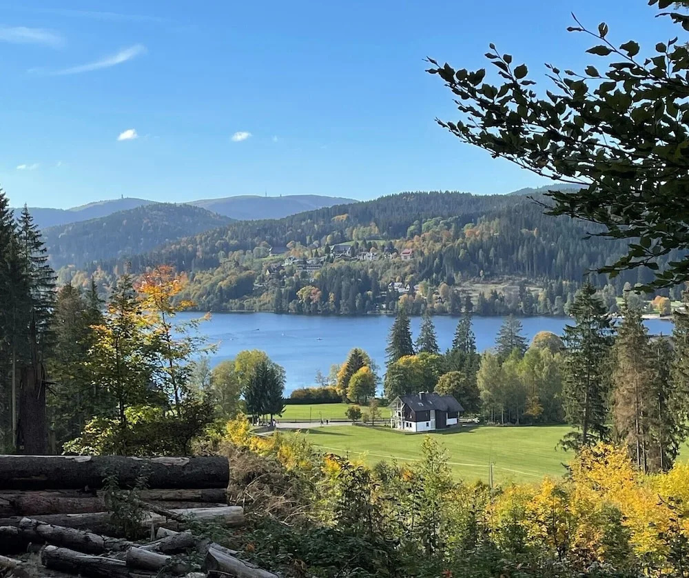 Foto - coucou hotel & kuckucks-stube (Titisee)