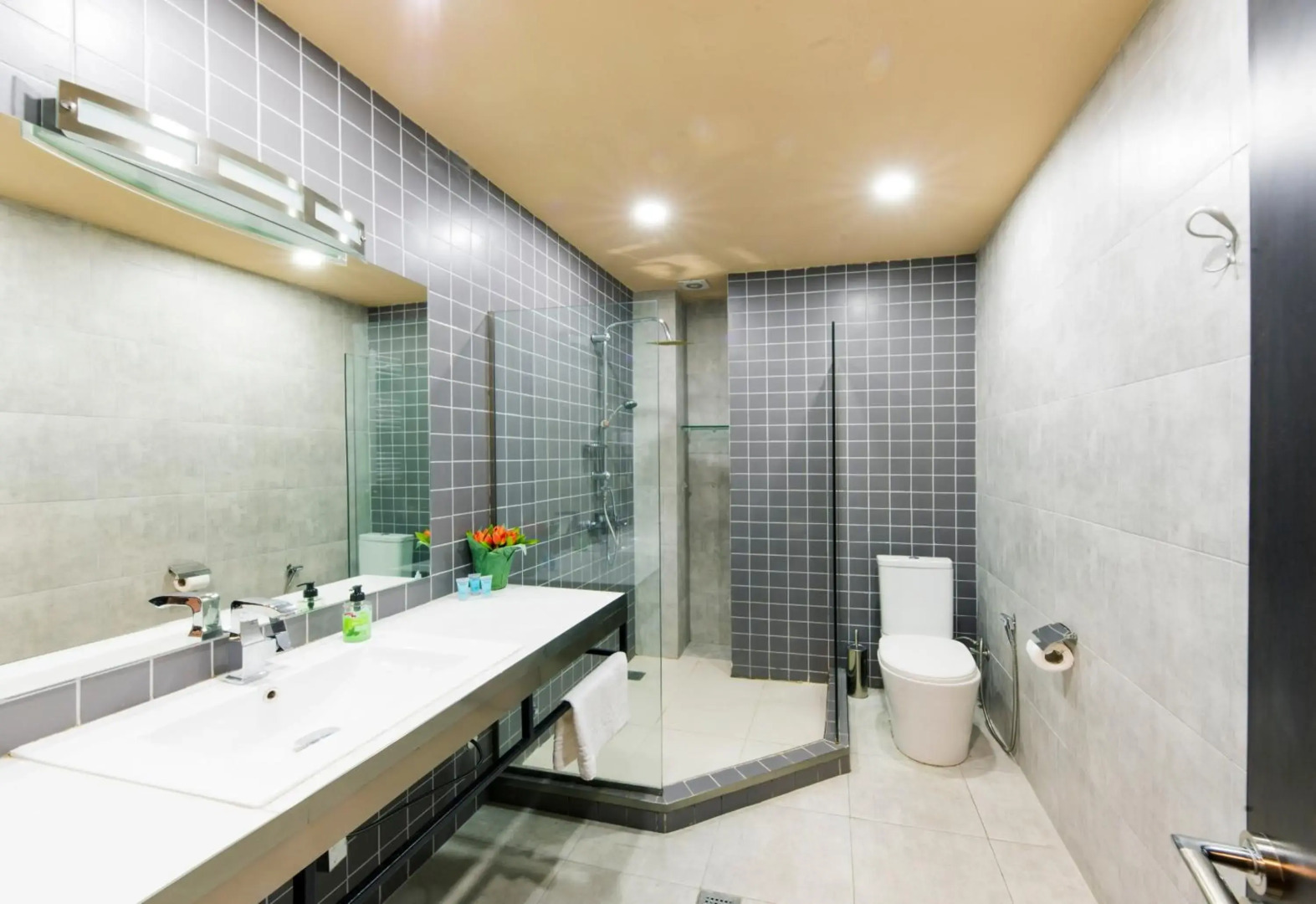 Foto - Sani Apart Hotel