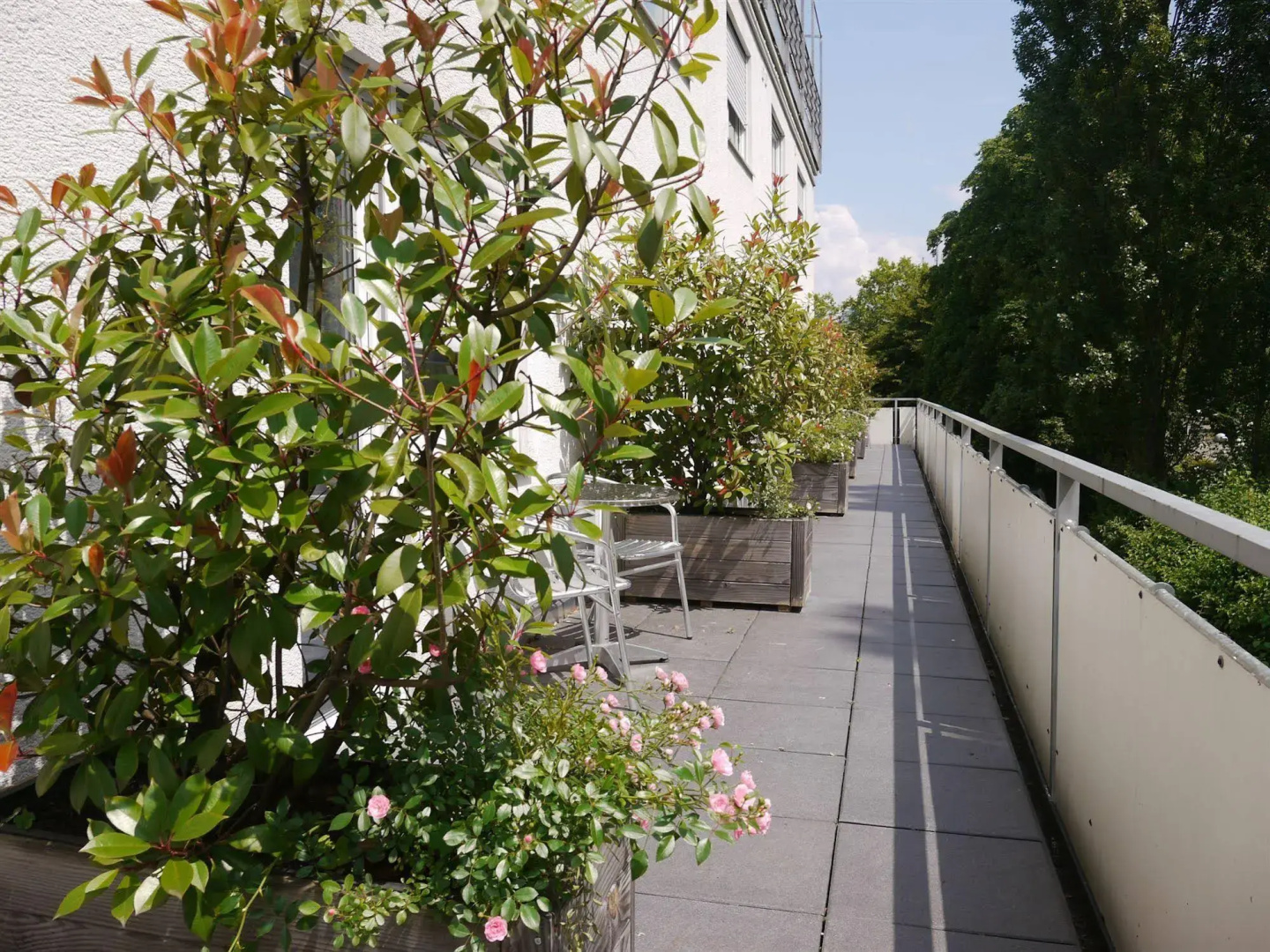 Photo - Viavelo Hotel