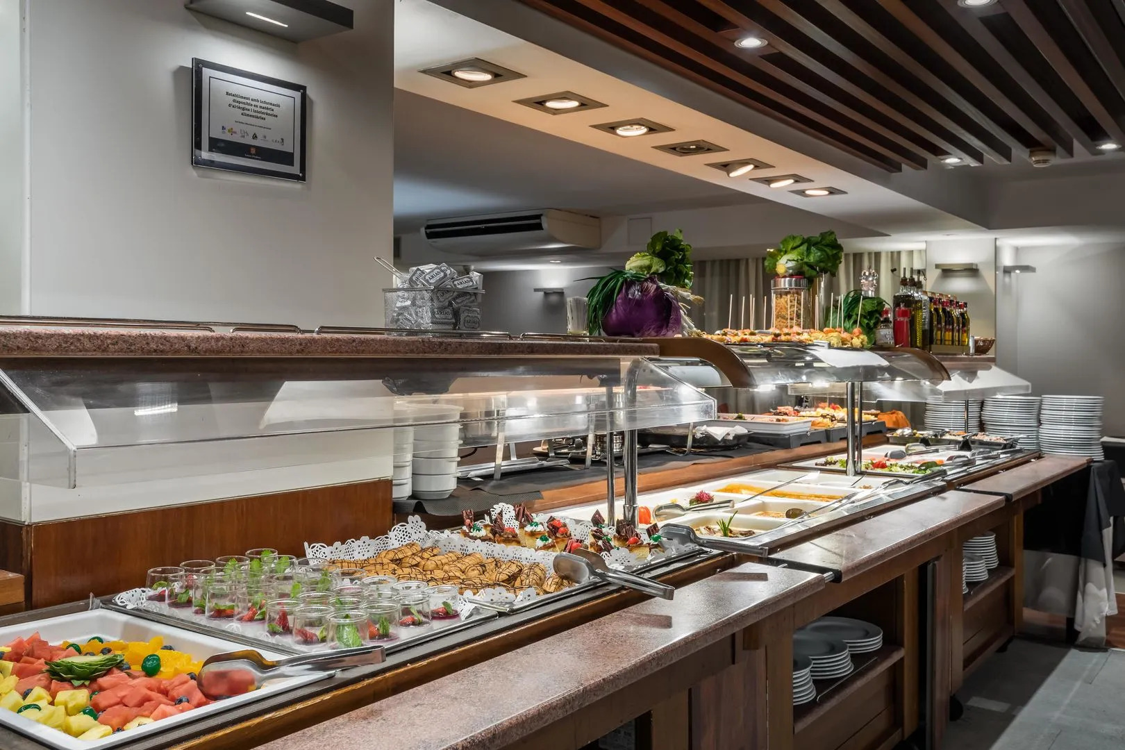 Foto - ALEGRIA President