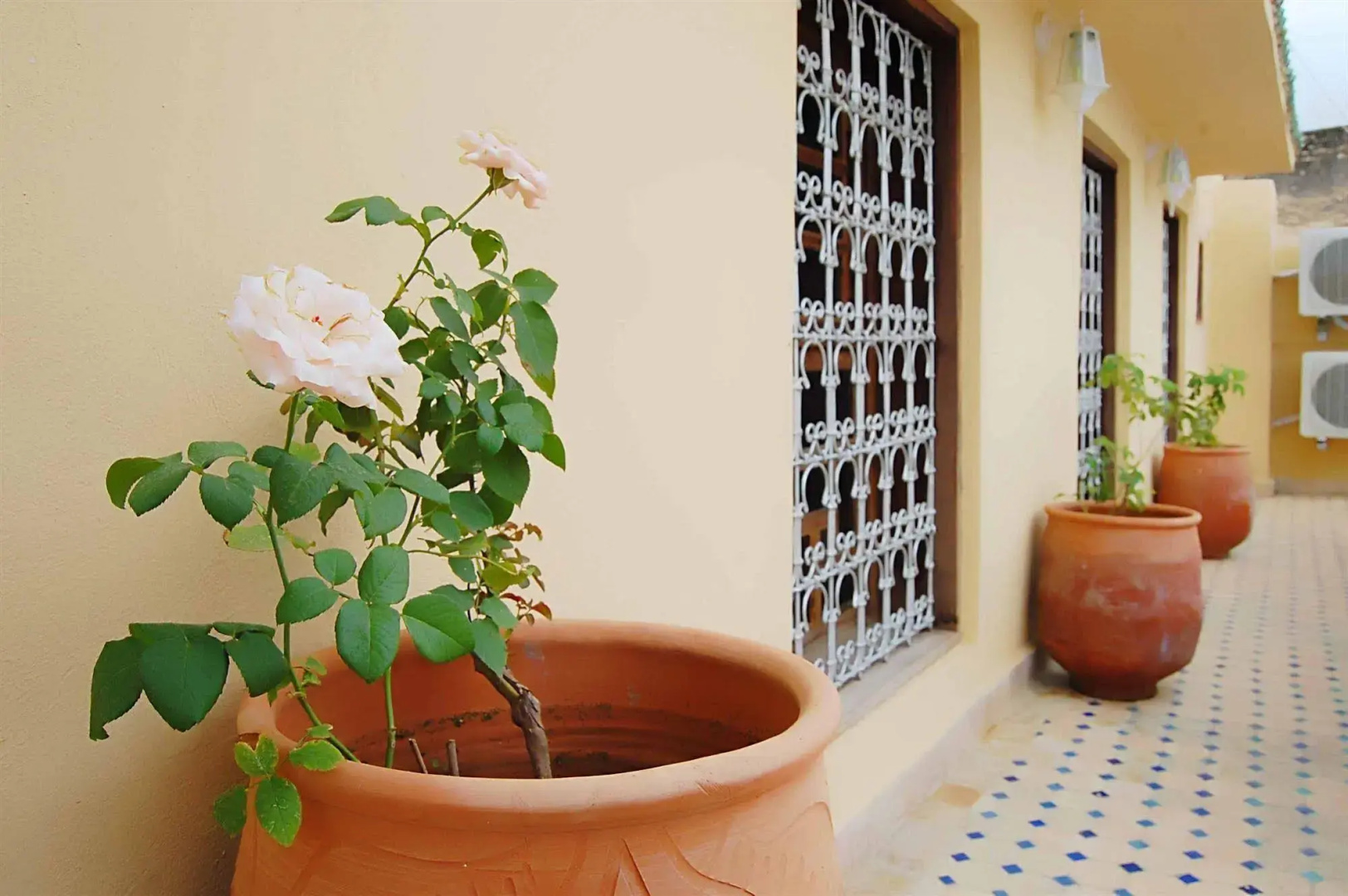 Foto - Riad Fes Aicha