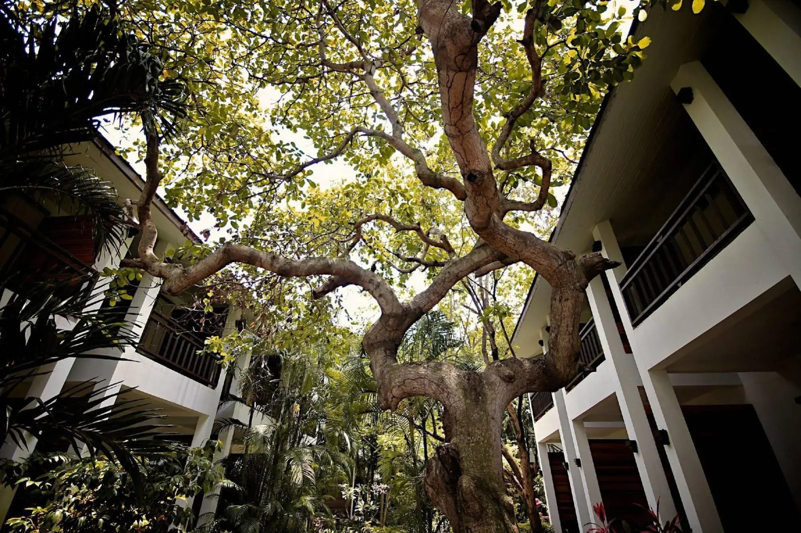 Foto - The Hive Hotel