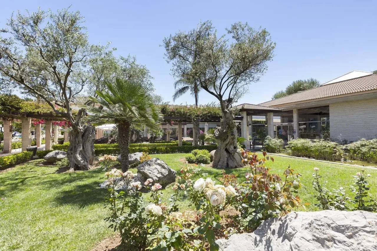 Foto - Mar Hotels Playa Mar & Spa