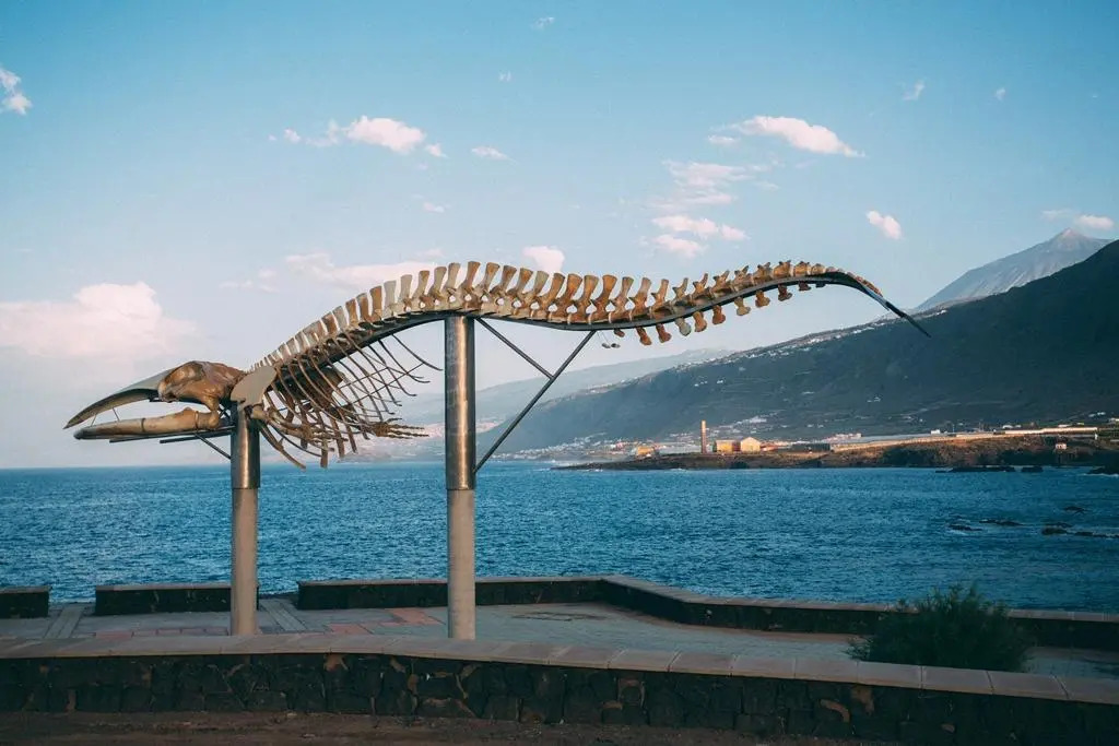 Foto - Hotel Rural La Casa Amarilla