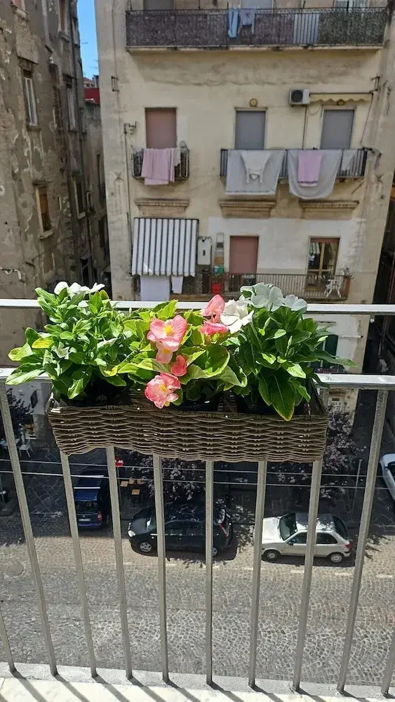 Photo - Tresette Porta Capuana