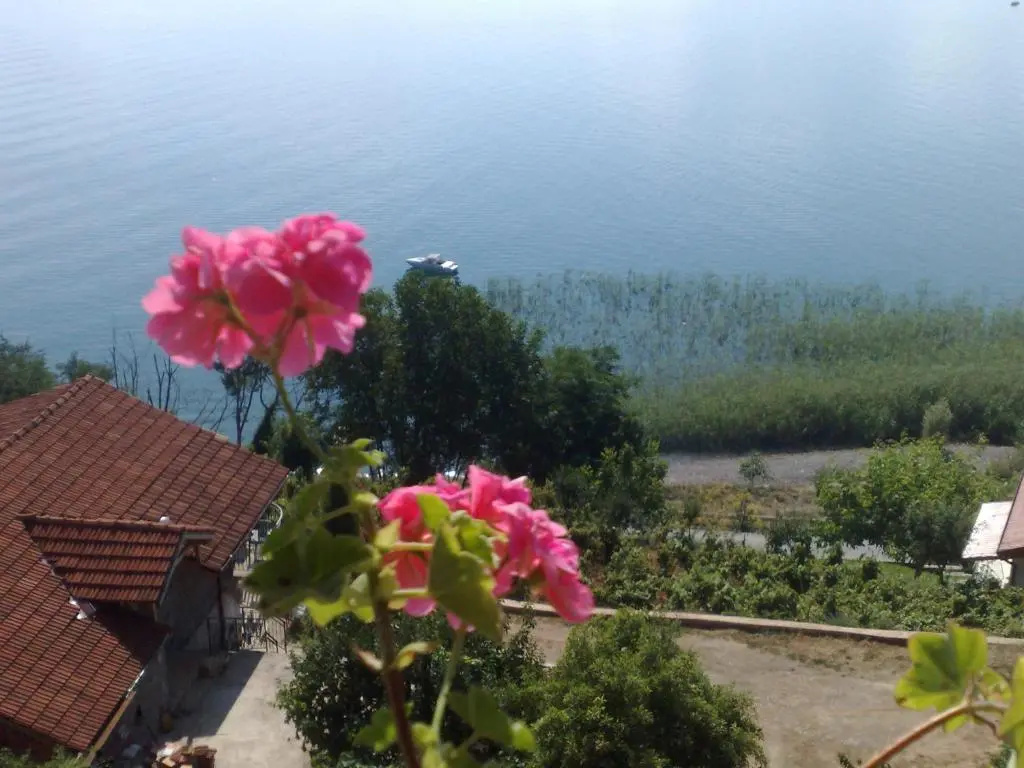 Sonce Guest House — фото 1