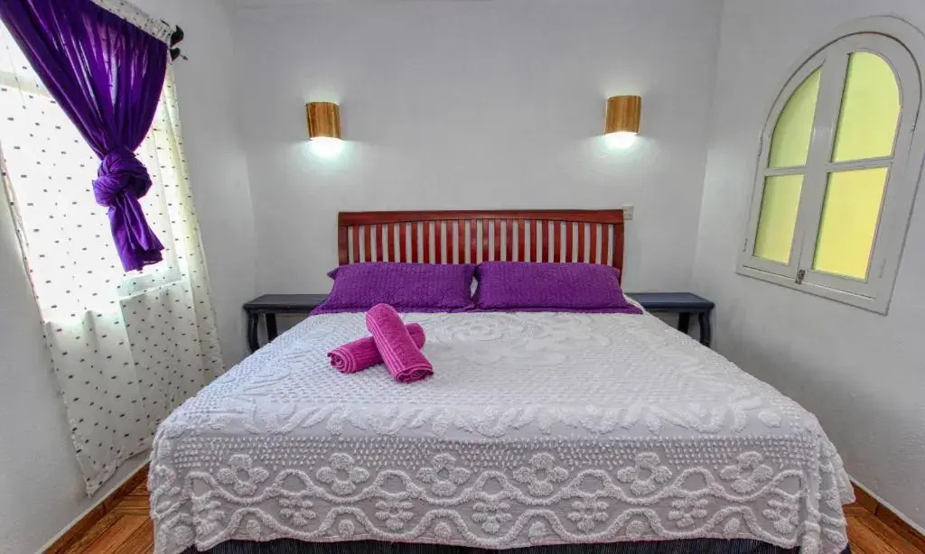 Photo - Maggic Home Panoramica