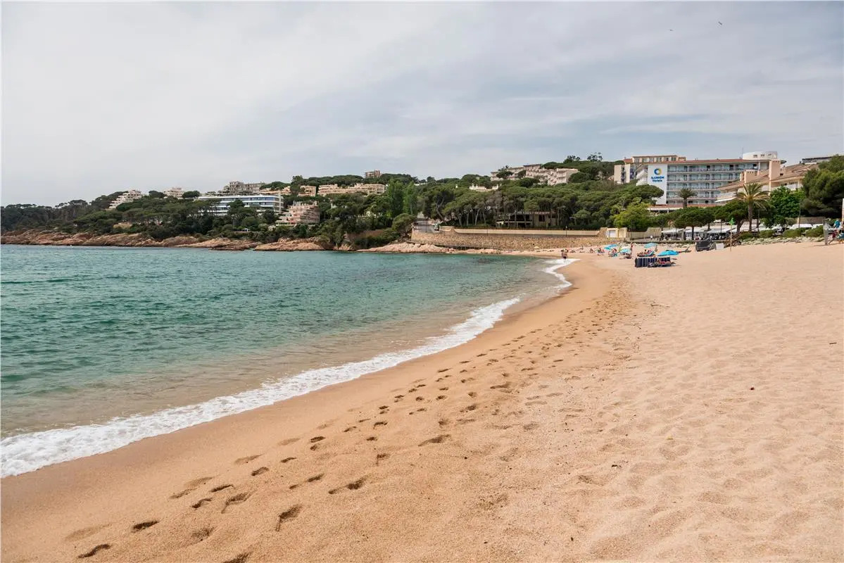 Photo - Ilunion Caleta Park