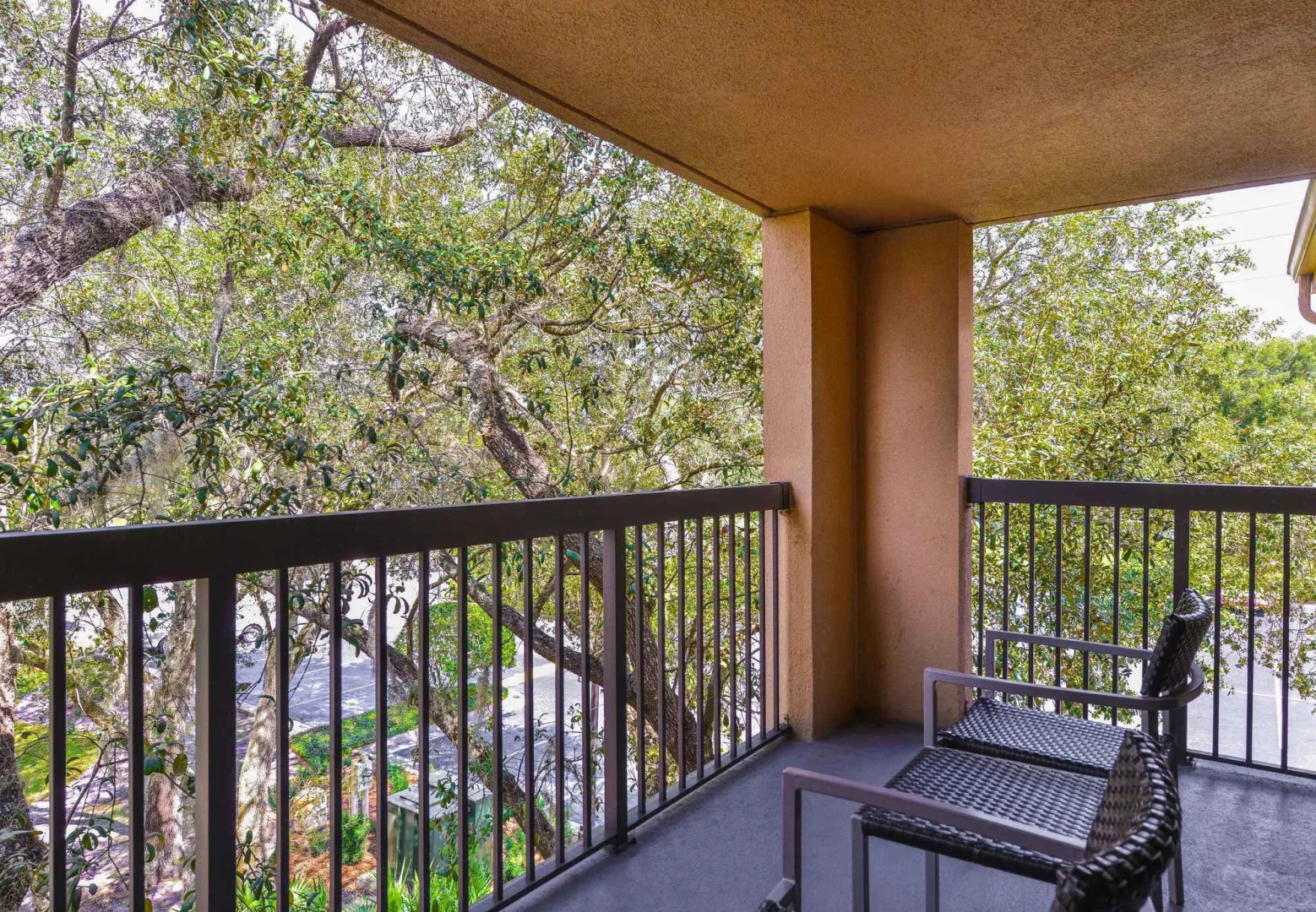Photo - Courtyard Tampa North / I-75 Fletcher