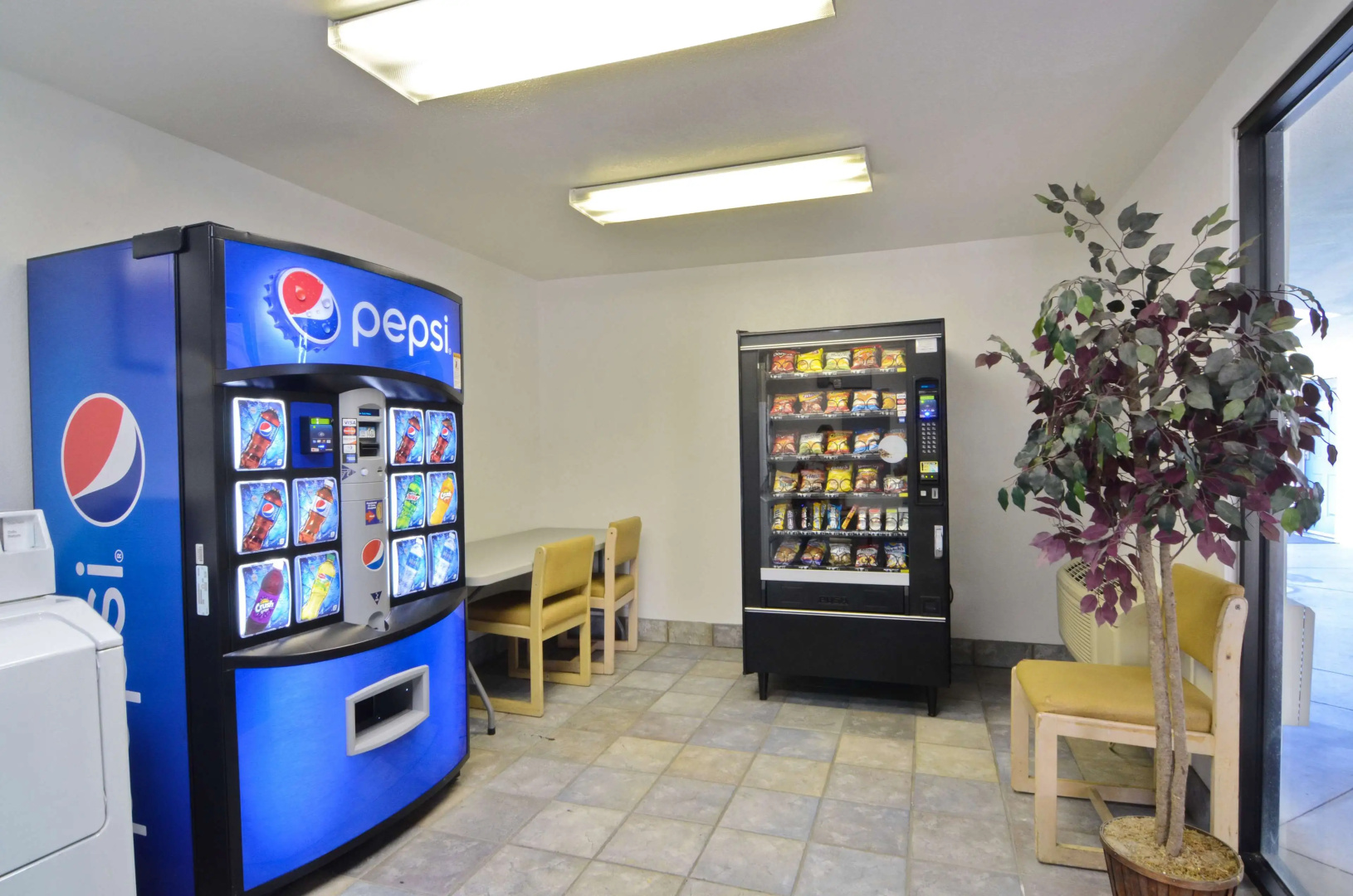 Foto - Motel 6-Palm Springs, CA - East - Palm Canyon