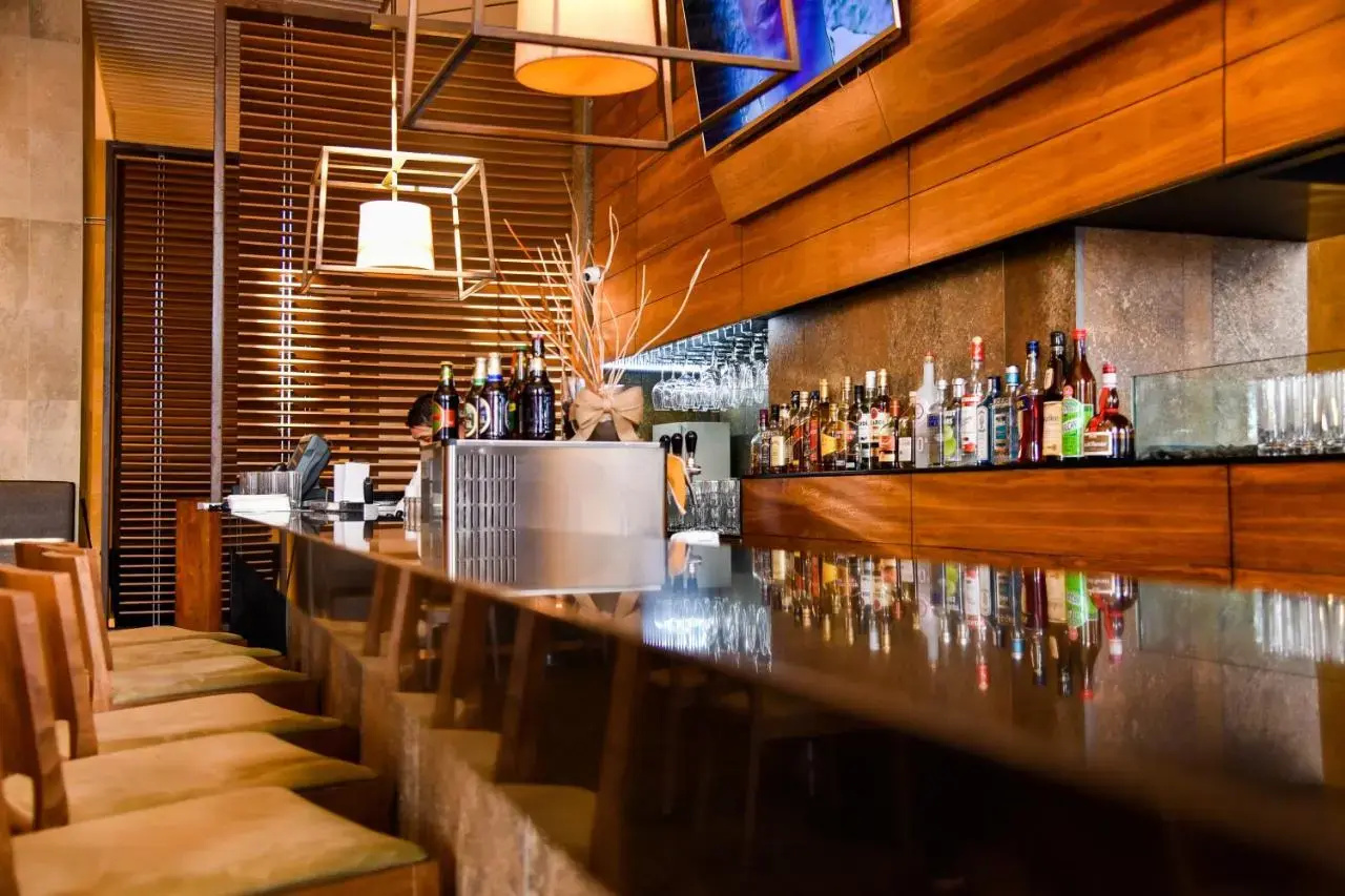 Photo - Hilton Garden Inn Santiago Airport