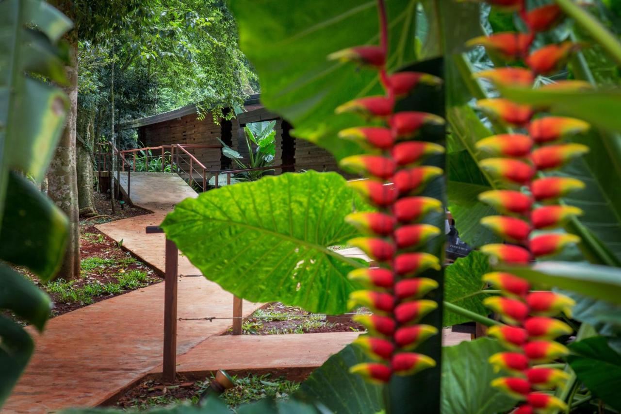 Foto - La Reserva Virgin Lodge