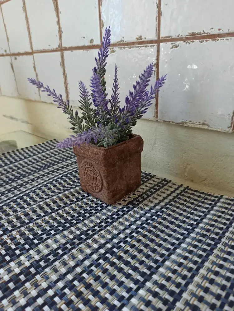 Photo - Willa Retro Hostel & Garden