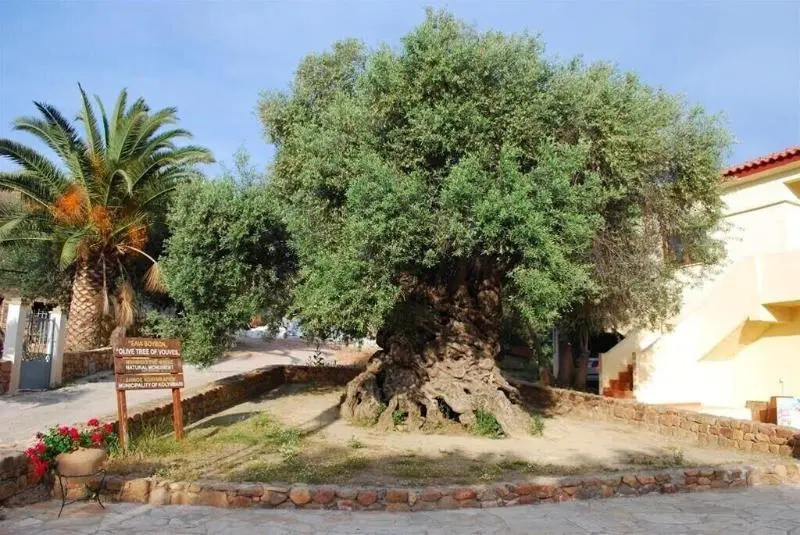 Photo - Xristinas Apartments