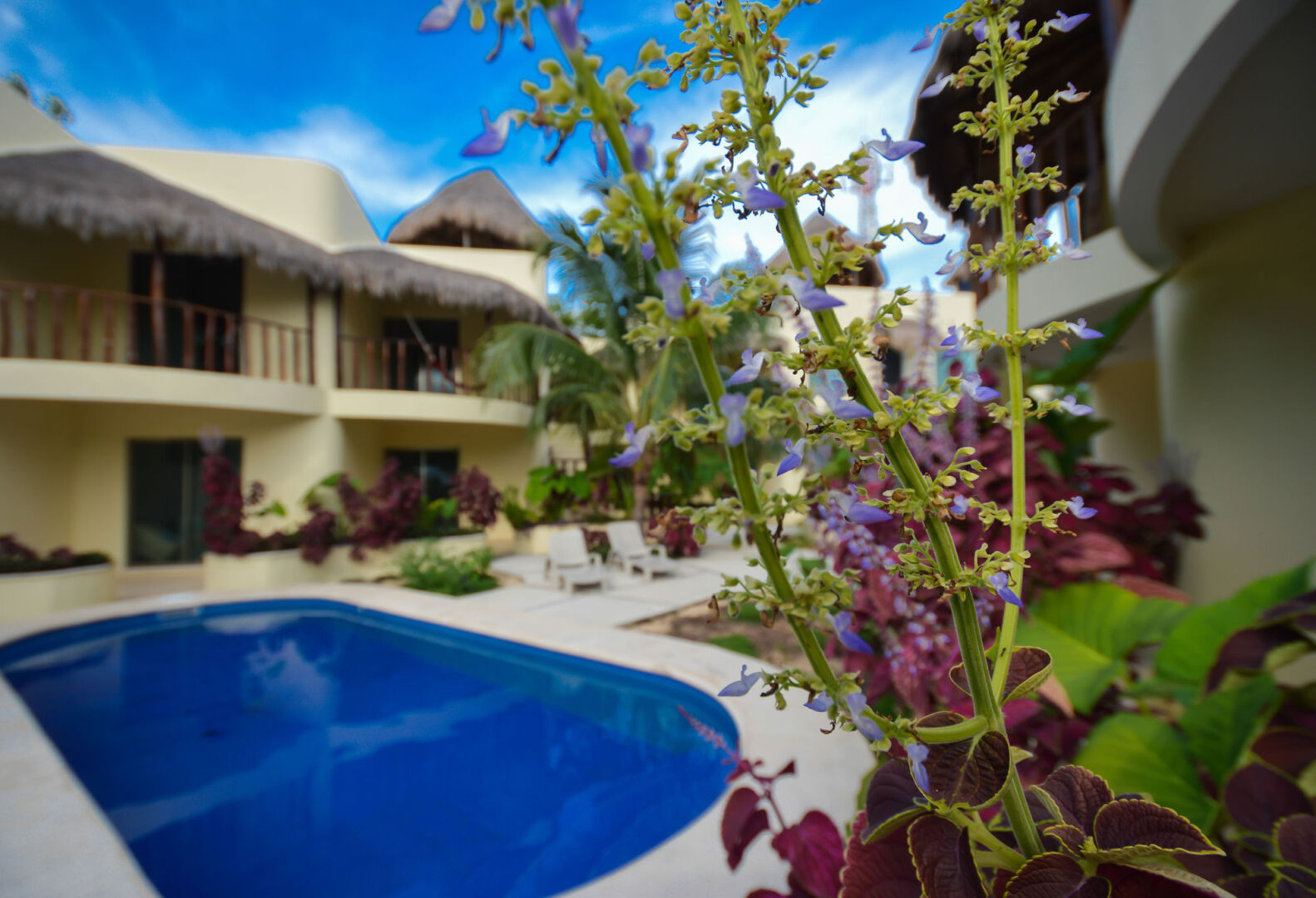 Foto - Villas Akalan