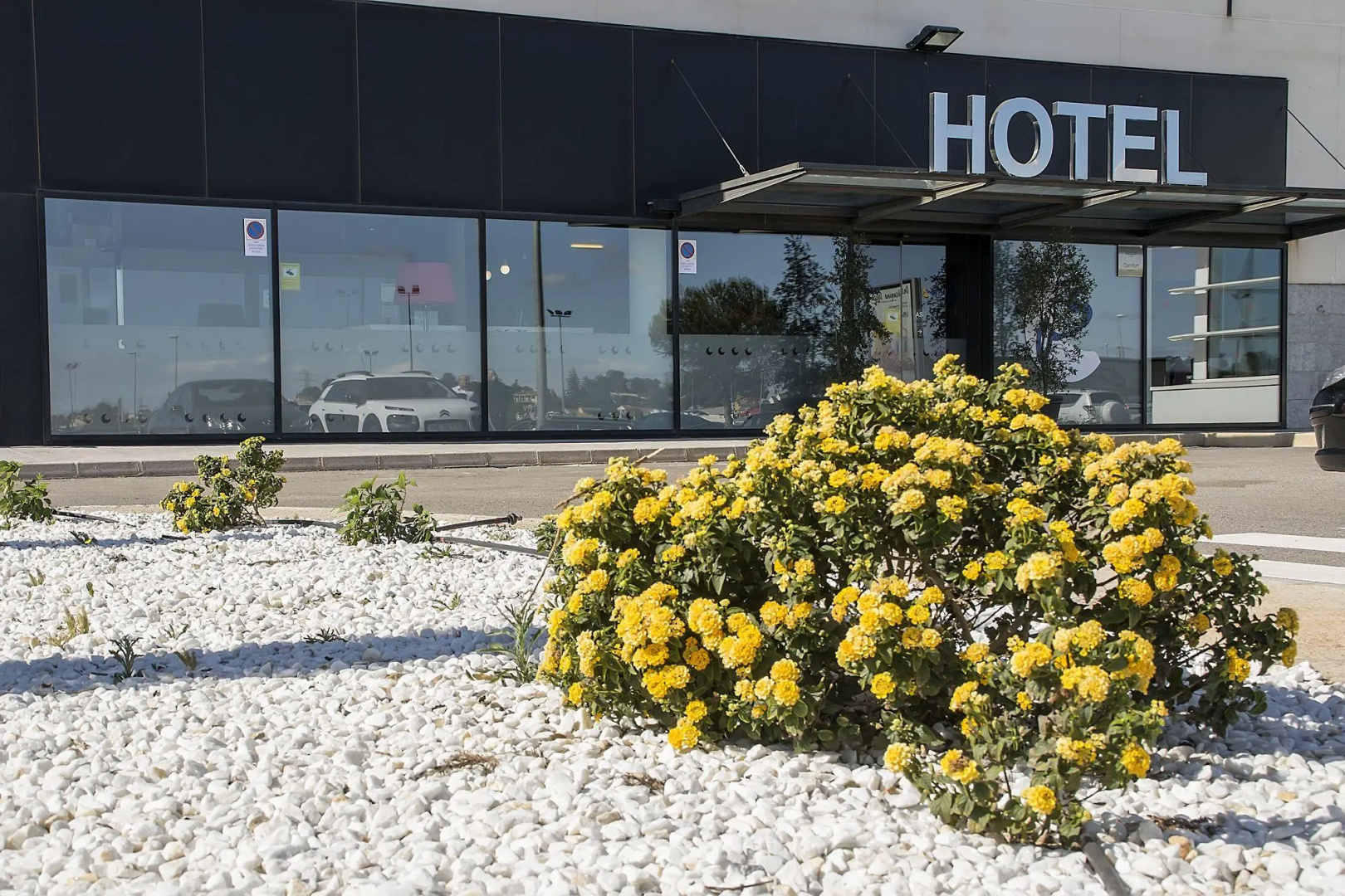 Foto - Hotel AS Torrent