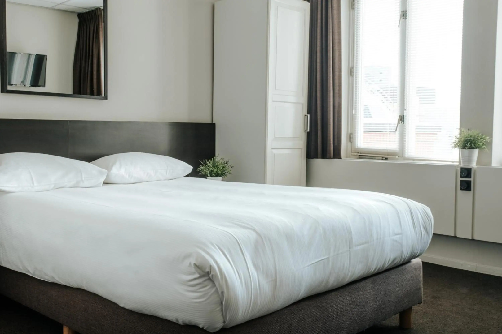 Foto - Queen Hotel
