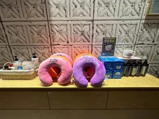 Campanile Hotel (Dongguan Dongcheng Wanda Plaza)