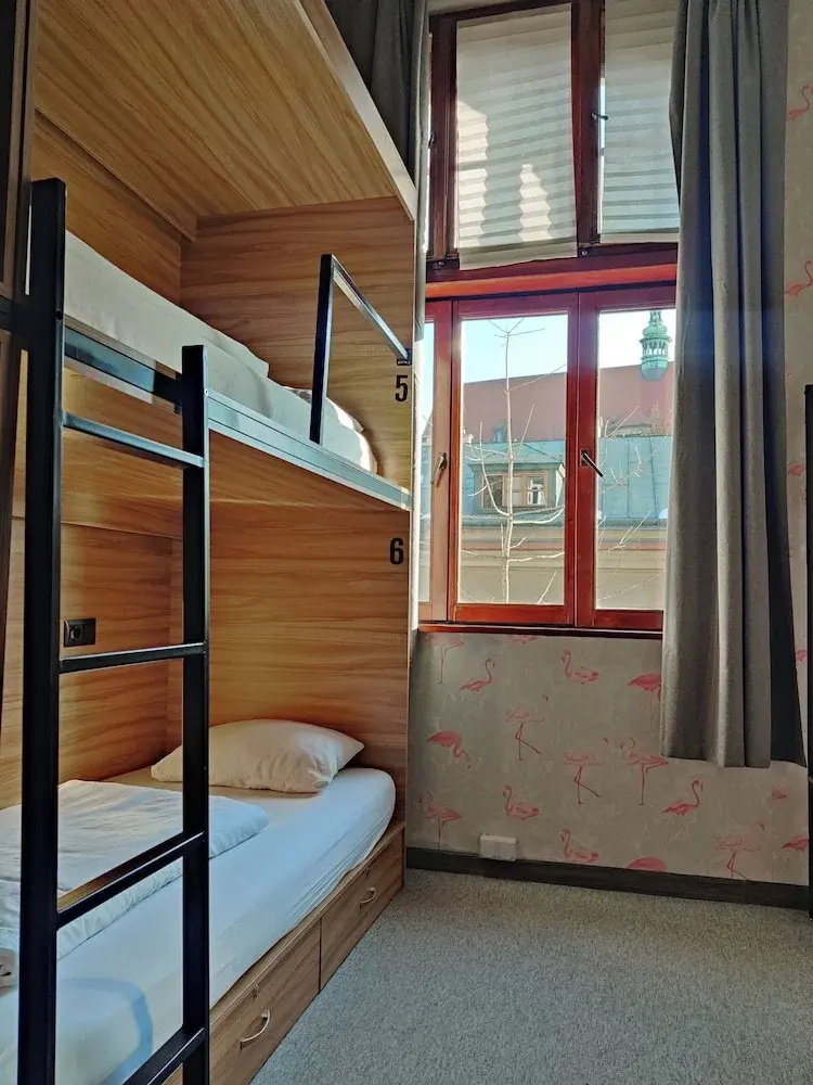 Photo - VIKI Kazimierz