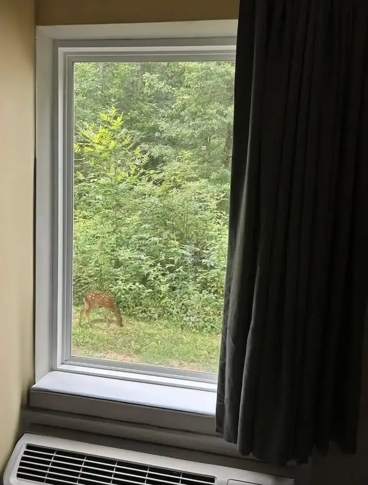 Photo - WoodSpring Suites Atlanta Airport