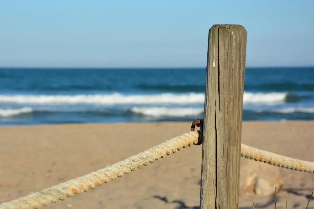 Foto - YOU & CO. Saler Beach Boutique