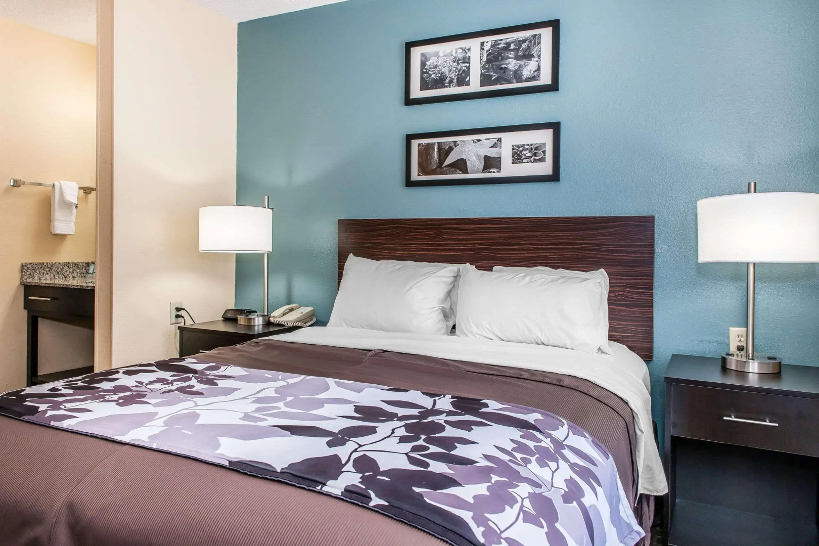 Photo - Sleep Inn Springfield West