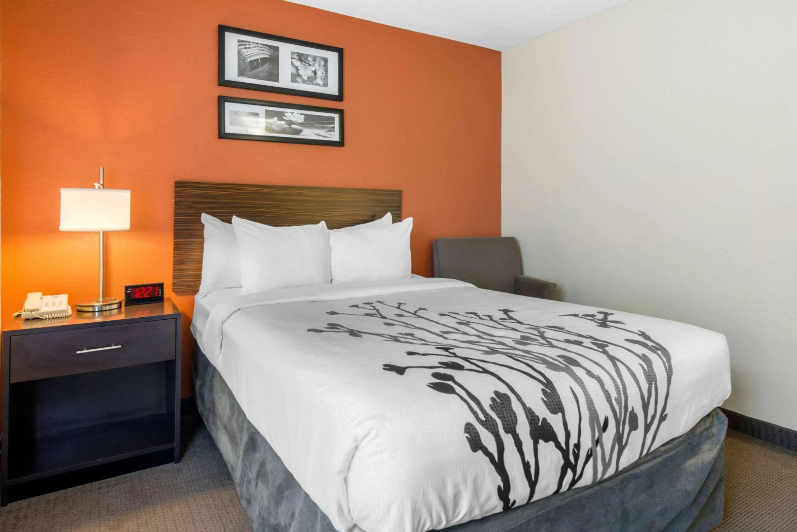 Foto - Sleep Inn Sarasota North