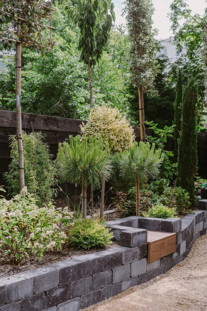 Foto - Supernova Hotel