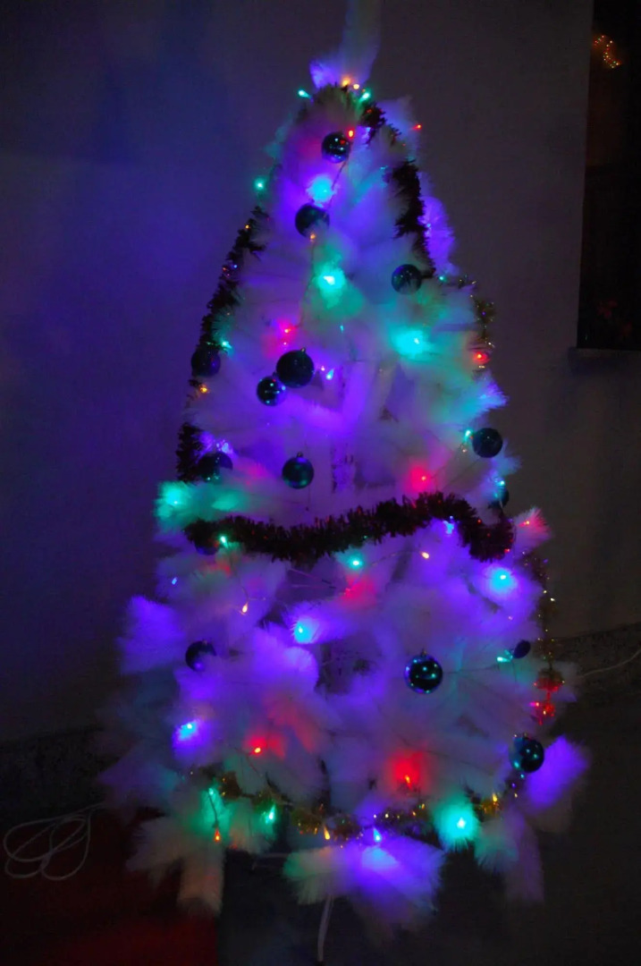 Foto - Residence Politecnico Bovisa