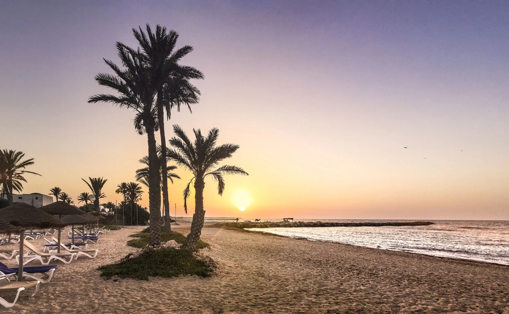 Photo - Djerba Castille- Couples and Families