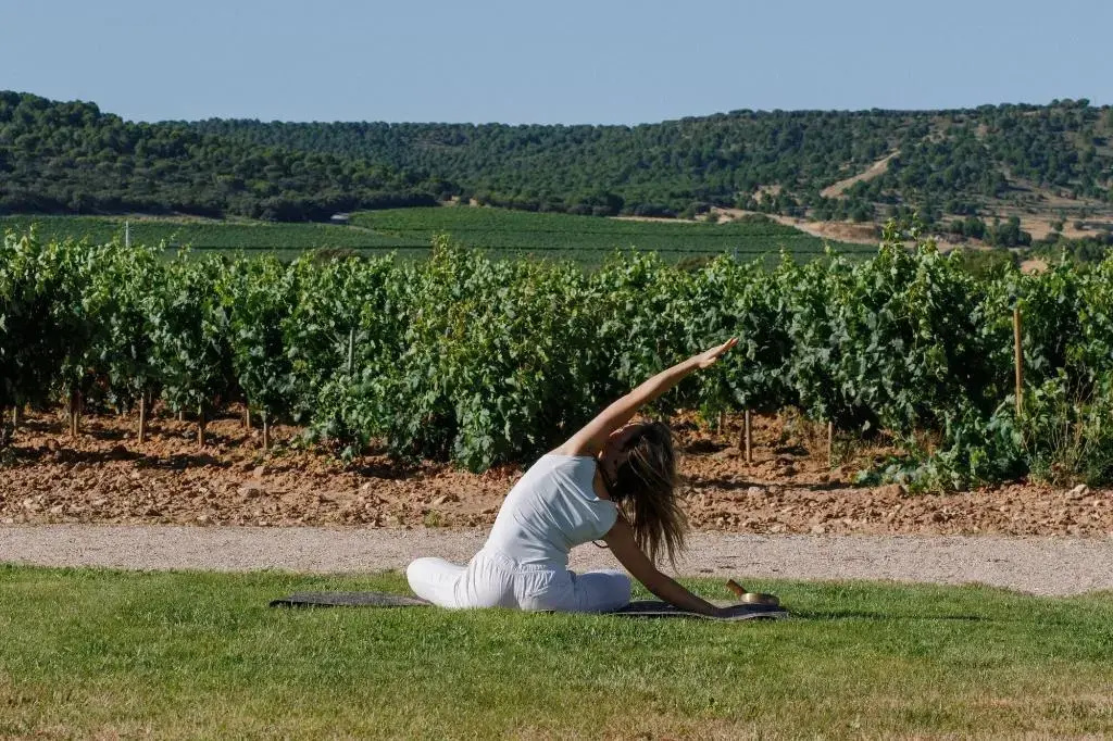 Foto - Abadia Retuerta Ledomaine