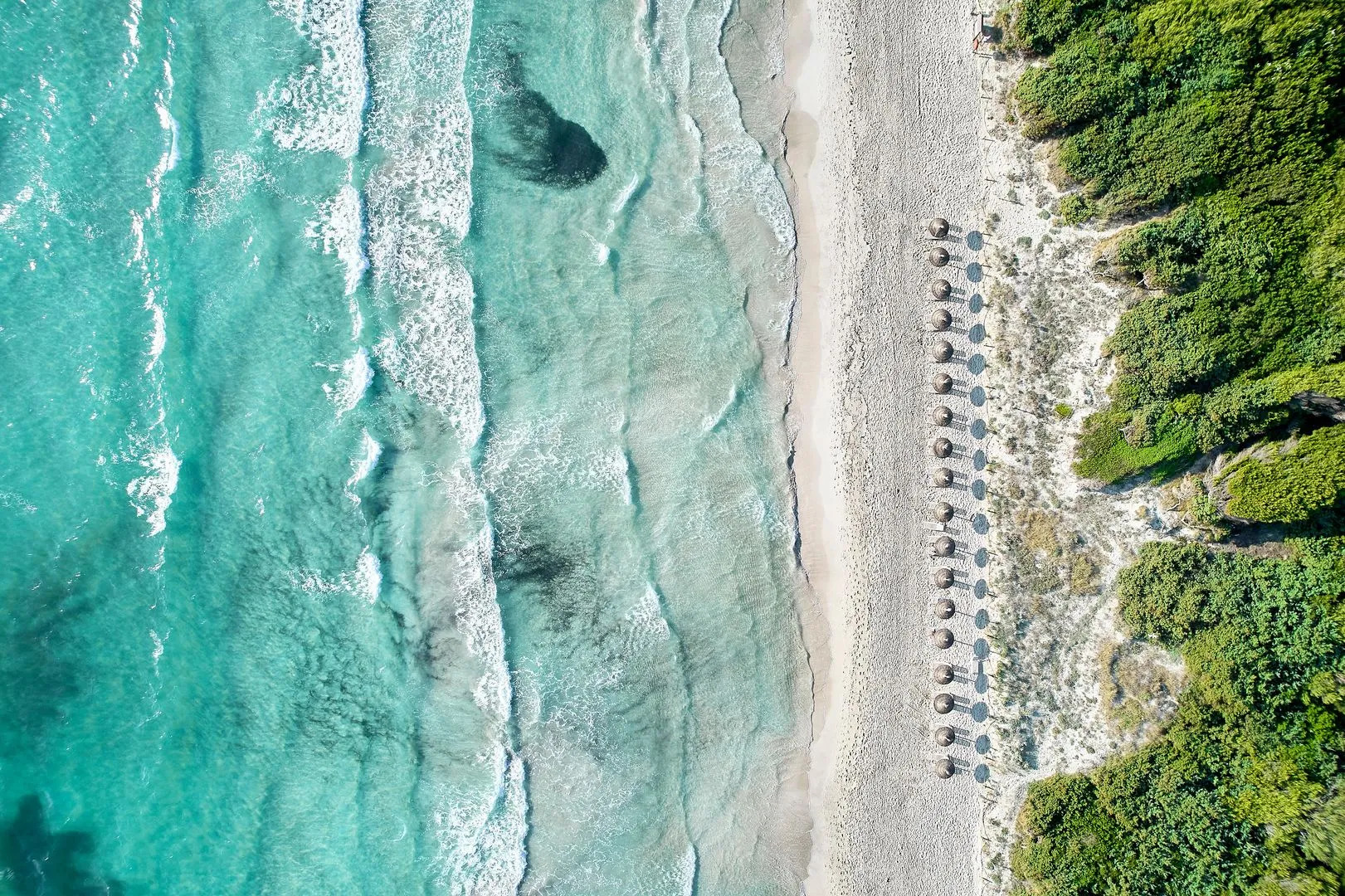 Foto - Iberostar Selection Albufera Playa All Inclusive