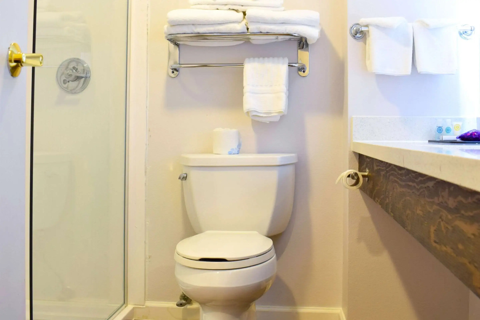 Foto - Comfort Inn Bellingham