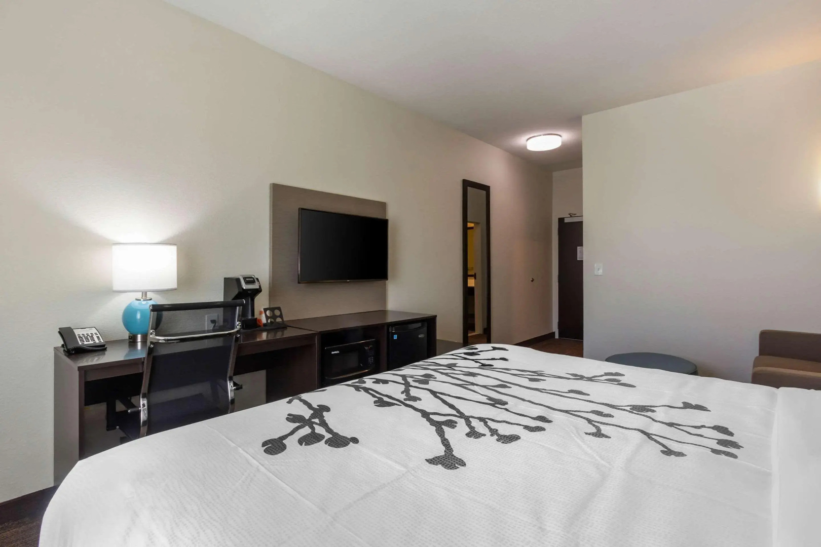 Photo - Sleep Inn & Suites Tampa South