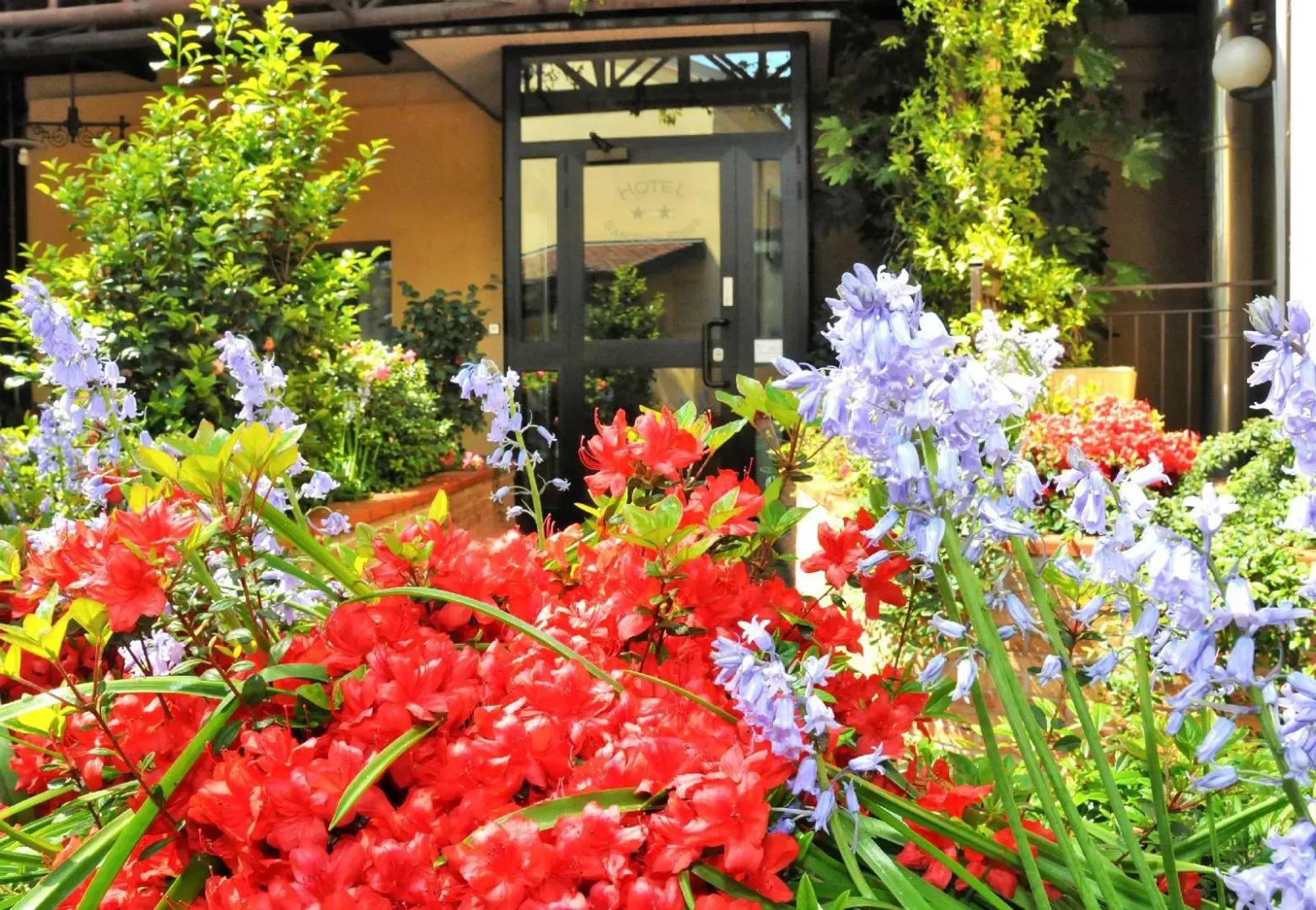 Photo - Hotel San Siro Fiera