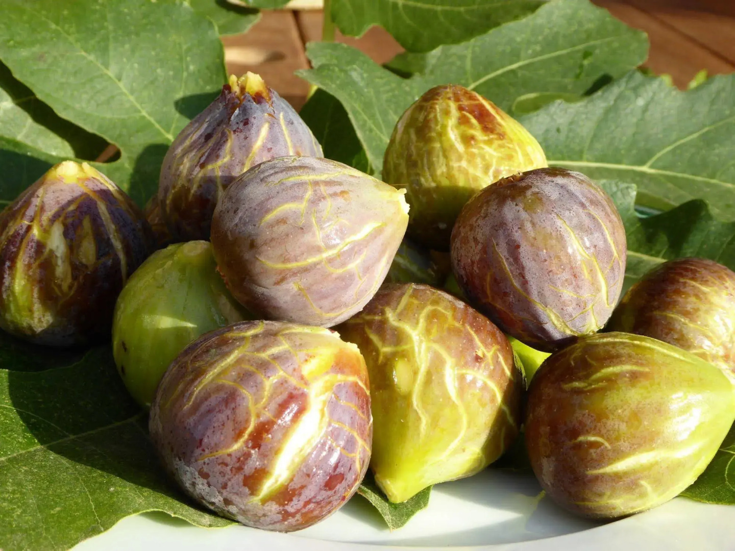 Foto - Finca Can Estades