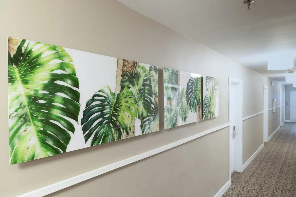 Foto - President Hotel