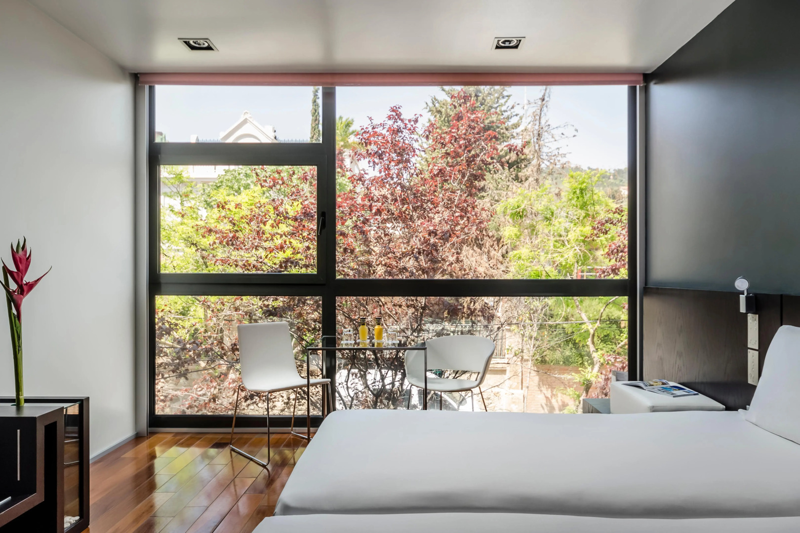 Foto - Ikonik Anglí