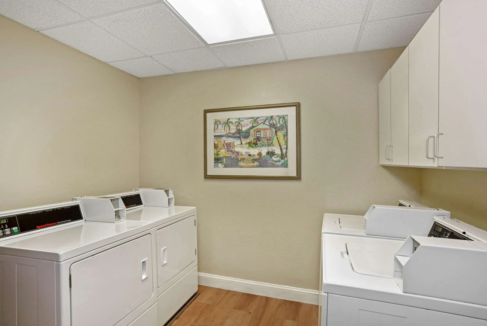 Foto - Comfort Inn & Suites Sarasota I75