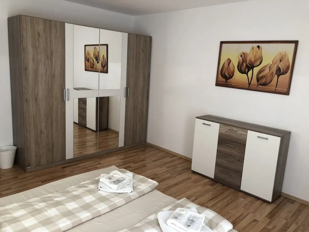 Photo - Sahara Falcon